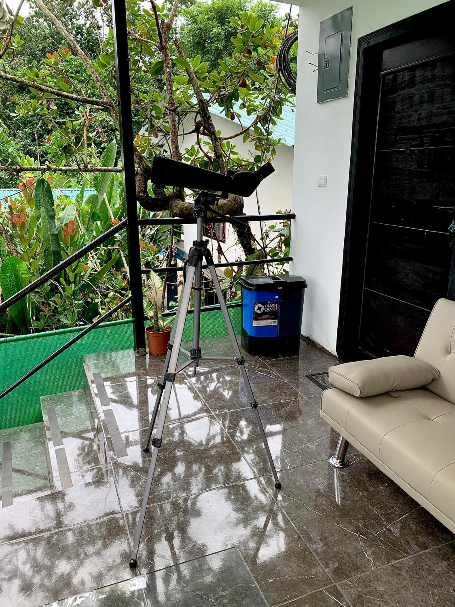 H Et L Apartment Tortuguero Bagian luar foto